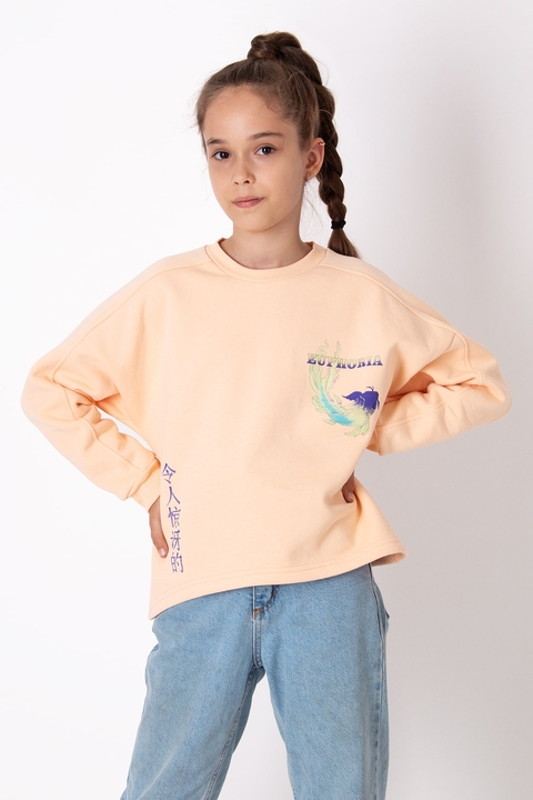 3969 Світшот-02